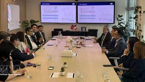 Panorama de la reunión. (Foto: VNA)