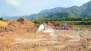 Tratamiento de tierras contaminadas con dioxinas en el aeropuerto A So (Foto: VNA)