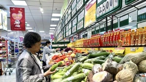 Foto de ilustración (Fuente: VNA)