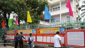 Estudiantes de la Universidad de Educación Técnica (Universidad de Da Nang) revisan la lista de candidatos. (Foto: VNA)