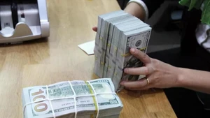 Foto de ilustración. (Fuente: nhandan.vn)