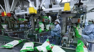 Vietnam busca redefinir estrategias para exportaciones arroceras