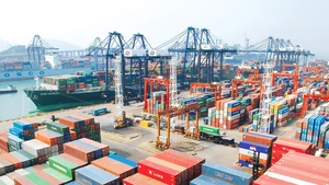 Foto de ilustración. (Fuente: VGP)