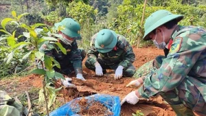 Vietnam lanza una campaña de 500 días y noches para la búsqueda y la repatriación de restos de mártires. (Foto: VNA)