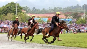Vista de una carrera de caballos en Lao Cai. (Foto: VNA)