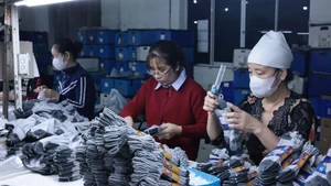 Foto de ilustración. (Fuente: VNA)