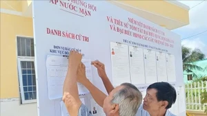 Electores estudian listas de candidatos. (Foto: VNA)