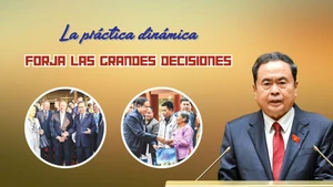 La práctica dinámica forja las grandes decisiones