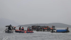 La provincia de Lao Cai moviliza todas las fuerzas disponibles para buscar a las víctimas desaparecidas. (Foto: VNA)