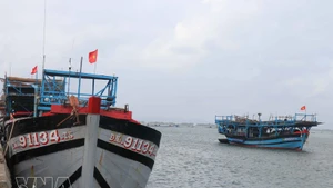 La ciudad de Da Nang acelera la reestructuración de su flota pesquera. (Foto: VNA)