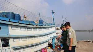 Las fuerzas competentes inspeccionan un barco en el puerto de Cat Lo. (Foto: VNA)