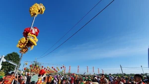 Danza de dragón en la ciudad de Can Tho en ocasión del Año Nuevo Lunar. (Foto: VNA)