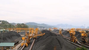 En la empresa de Cua Ong - TKV. (Foto: VNA)