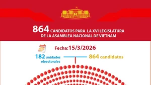 Infografía: 864 candidatos para la Asamblea Nacional de la XVI legislatura