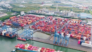 Buques portacontenedores atracan en el puerto TCIT, parte del complejo portuario de Cai Mep. (Foto: sggp.org.vn)