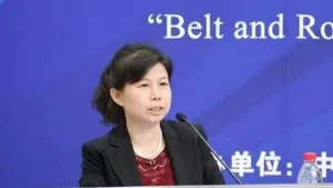 Liu An, investigadora del Instituto de Estudios Financieros de Chongyang. (Foto: VNA)