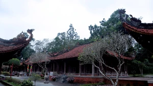 Antigua ciudadela de Lam Kinh: vistas de cerca de una singular arquitectura
