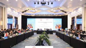 Vista de la sexta Reunión de Altos Funcionarios Digitales de la Asean. (Foto: VNA)
