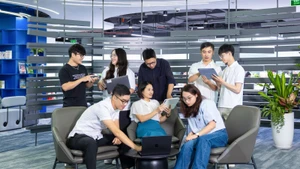 Foto de ilustración. (Fuente: VNA)