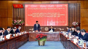 El vicepresidente de la Asamblea Nacional de Vietnam Vu Hong Thanh interviene en la actividad. (Foto: Nhan Dan)