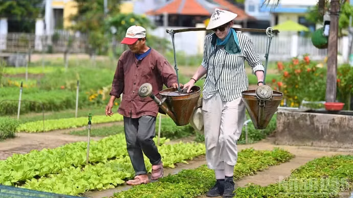 Un turista disfruta de la experiencia de plantar hortalizas, preparar la tierra y regar las plantas en una aldea en Hoi An.