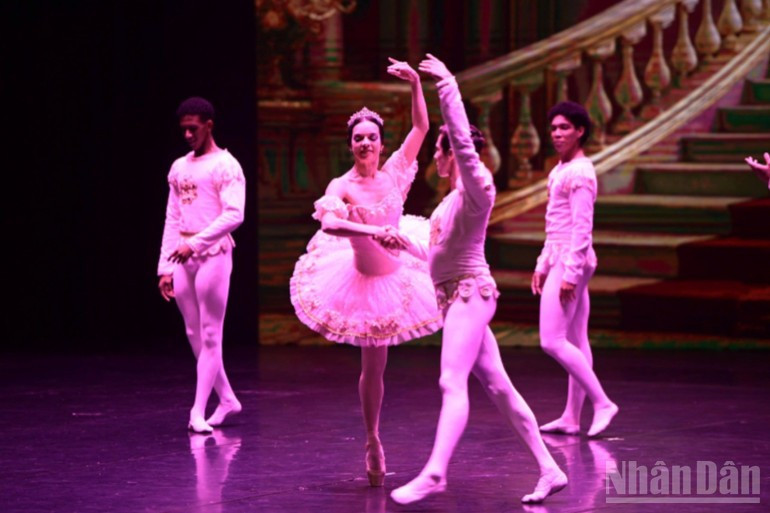 El espectáculo, que forma parte de la serie internacional Musical Seasons (Temporadas musicales), ofrece al público fragmentos emblemáticos de clásicos como El lago de los cisnes y El cascanueces, así como extractos de producciones con fuerte identidad cubana.