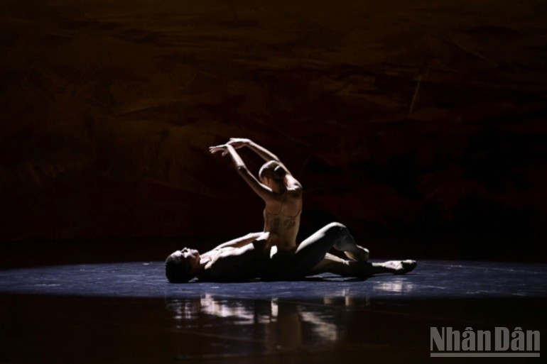 En esta gira especial por Vietnam, el público también tendrá el privilegio de ver en escena a destacadas figuras del Ballet Nacional de Cuba como Dani Hernández, Ányelo Montero, Anette Delgado, Sadaise Arencibia y Yankiel Vázquez, quienes son motivo de orgullo para la compañía.