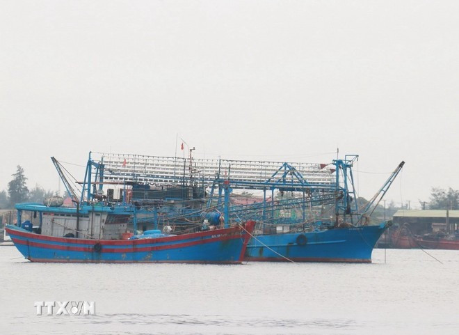 Los barcos pesqueros se refugian de un puerto (Foto ilustrativa: VNA) Los barcos pesqueros se refugian de un puerto (Foto ilustrativa: VNA)