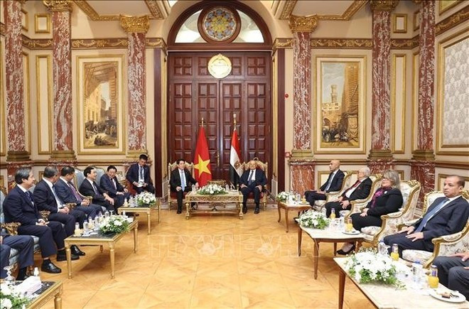 El presidente vietnamita, Luong Cuong, se reúne con el titular del Senado egipcio, Abdel-Wahab Abdel-Razek. (Foto: VNA) El presidente vietnamita, Luong Cuong, se reúne con el titular del Senado egipcio, Abdel-Wahab Abdel-Razek. (Foto: VNA)