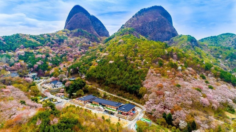 Jeonbuk es una de las cunas de la cultura tradicional surcoreana que convergen valores patrimoniales únicos, una naturaleza hermosa y numerosas instalaciones turísticas.