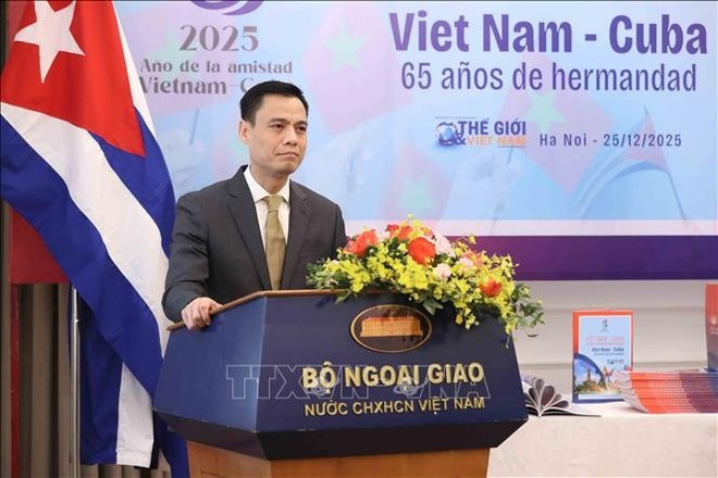 El viceministro vietnamita de Relaciones Exteriores Dang Hoang Giang habla en el evento. (Fuente: VNA)