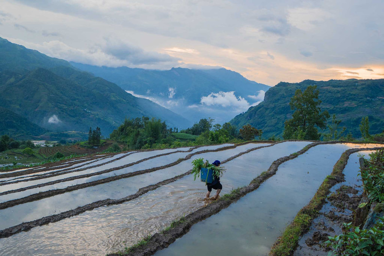 Para los habitantes de las zonas altas, la agricultura depende en gran medida del clima. Para los habitantes de las zonas altas, la agricultura depende en gran medida del clima.