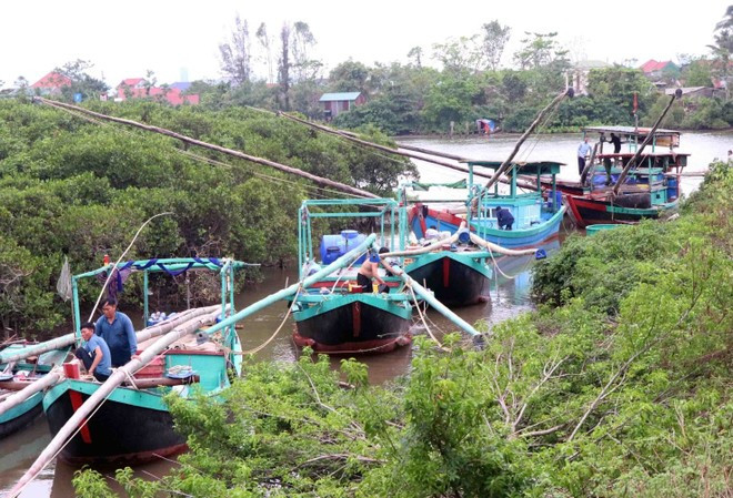 Los habitantes locales llevan sus barcos a resguardo del tifón en el puente Thach Dong, comuna Thach Khe, provincia de Ha Tinh. (Foto: VNA) Los habitantes locales llevan sus barcos a resguardo del tifón en el puente Thach Dong, comuna Thach Khe, provincia de Ha Tinh. (Foto: VNA)
