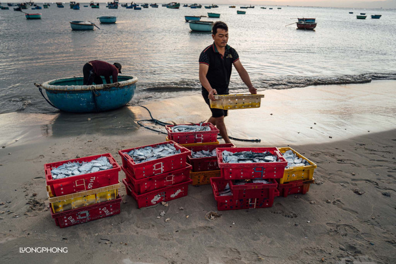 Los turistas pueden experimentar el ritmo pausado de la vida, desde las mañanas en las que los pescadores regresan tras una jornada de pesca en alta mar hasta las tardes en las que, con el mar en calma, algunas personas lanzan las redes cerca de la costa. Los turistas pueden experimentar el ritmo pausado de la vida, desde las mañanas en las que los pescadores regresan tras una jornada de pesca en alta mar hasta las tardes en las que, con el mar en calma, algunas personas lanzan las redes cerca de la costa.