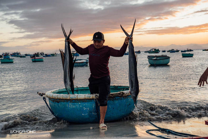 Los pescadores de My Hiep pescan principalmente con redes y botes de canasta cerca de la orilla. Cada mañana, los barcos llegan a la orilla trayendo camarones y peces frescos tras pasar la noche en el mar. Los pescadores de My Hiep pescan principalmente con redes y botes de canasta cerca de la orilla. Cada mañana, los barcos llegan a la orilla trayendo camarones y peces frescos tras pasar la noche en el mar.