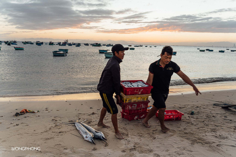 Los visitantes pueden integrarse en el pequeño mercado de pescado, ubicado directamente en la playa, donde se aprecia plenamente la vida local. Los visitantes pueden integrarse en el pequeño mercado de pescado, ubicado directamente en la playa, donde se aprecia plenamente la vida local.