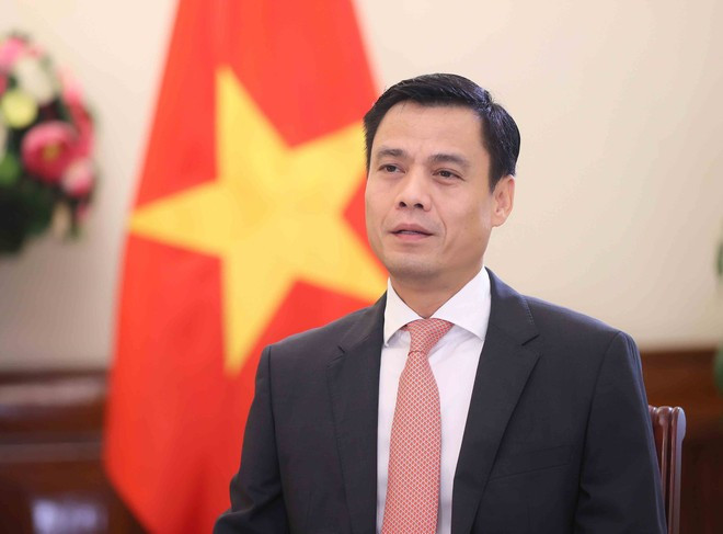 El viceministro de Relaciones Exteriores, Dang Hoang Giang (Fuente: VNA)