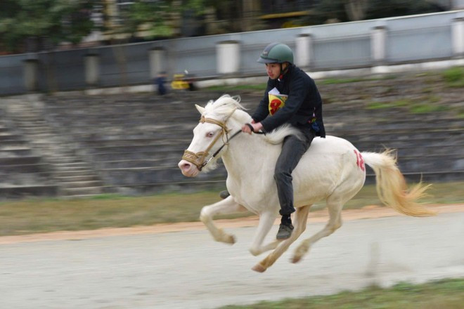 Un muchacho de minorías étnicas compite con caballos sin montura, un rasgo característico de la región de Bac Ha, en la provincia de Lao Cai. (Fuente: VietnamPlus)