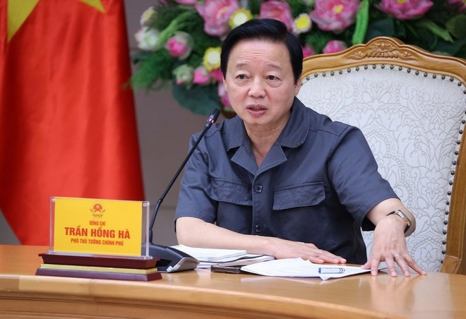 El viceprimer ministro vietnamita Tran Hong Ha interviene en la reunión (Foto: VNA) El viceprimer ministro vietnamita Tran Hong Ha interviene en la reunión (Foto: VNA)