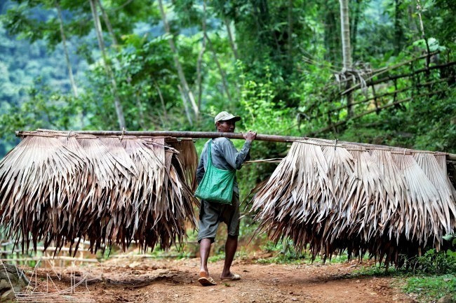 Para proteger la biodiversidad, la gente local sólo recoge productos secos del bosque para su sustento. (Fuente: vietnam.vnanet.vn) Para proteger la biodiversidad, la gente local sólo recoge productos secos del bosque para su sustento. (Fuente: vietnam.vnanet.vn)