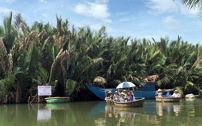Cam Thanh, la preciosa tierra de palmas.