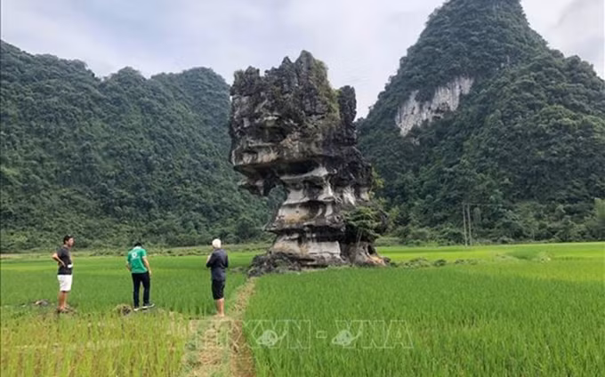  Valle de Ban Hau en la comuna de Cao Thang en Cao Bang (Foto: VNA)
