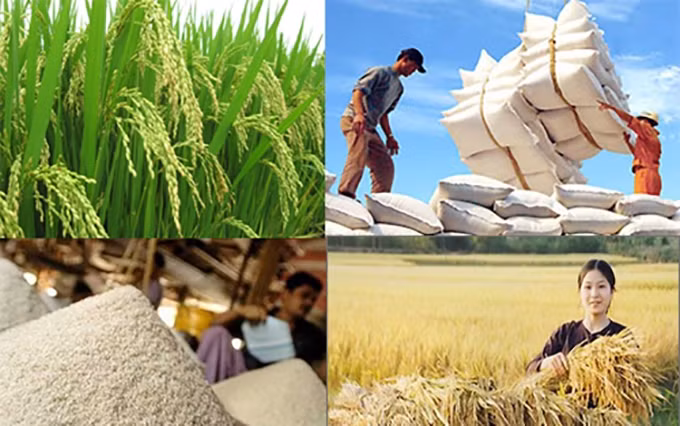 Foto de ilustración. (Fotografía: tuyengiao.vn)