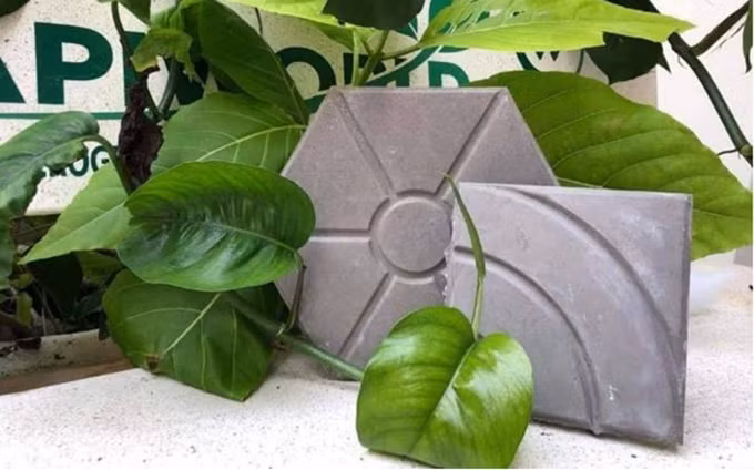 (Fotografía: Internet)