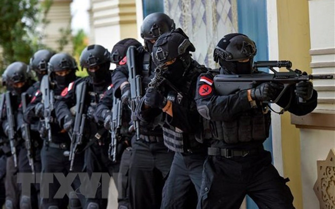 ASEAN y Rusia actualizarán su estrategia de cooperación en la lucha contra el terrorismo (Fotografía: VNA)