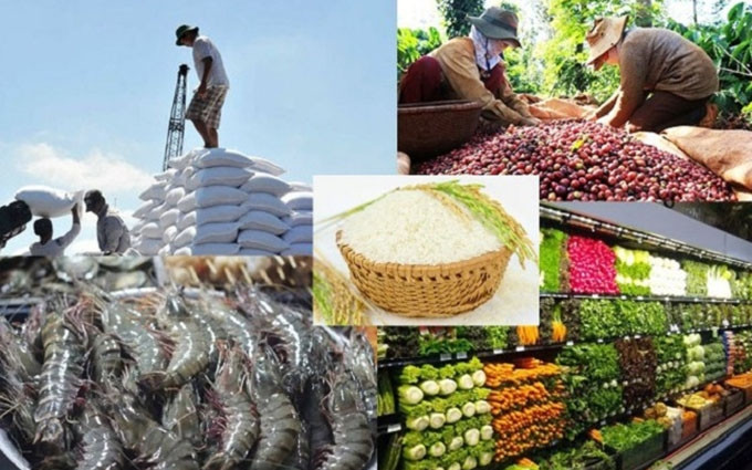 (Fotografía: moit.gov.vn)