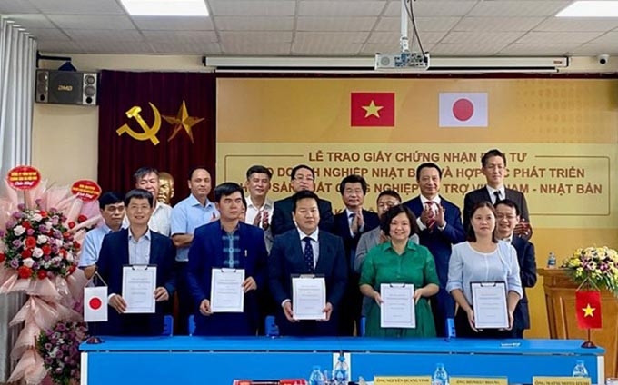 Acto de entrega de certificado. (Fotografía: congthuong.vn)