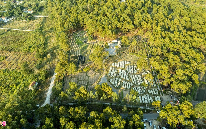 El valle floral se ubica en la ciudad de Uong Bi, a unos dos kilómetros de la carretera nacional 18, en el camino desde la Zona Ecológica del lago Yen Trung hasta el complejo histórico de Yen Tu.