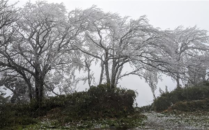 La escarcha en Cao Bang (Foto: VNA)