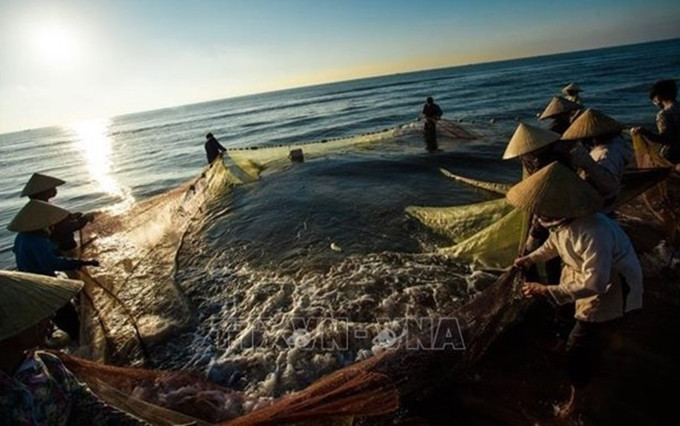 Actividades de pesca en Quang Xuong, Thanh Hoa. (Fotografía: VNA)